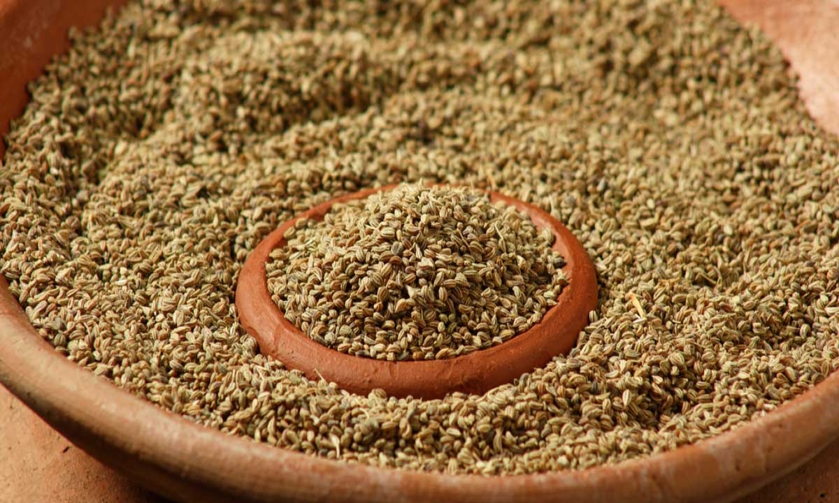  Side Effects Of Eating Ajwain Overly , Side Effects Of Ajwain, Eating Ajwain, Latest News, Health, Health Tips, Good Health, Ajwain For Health-TeluguStop.com