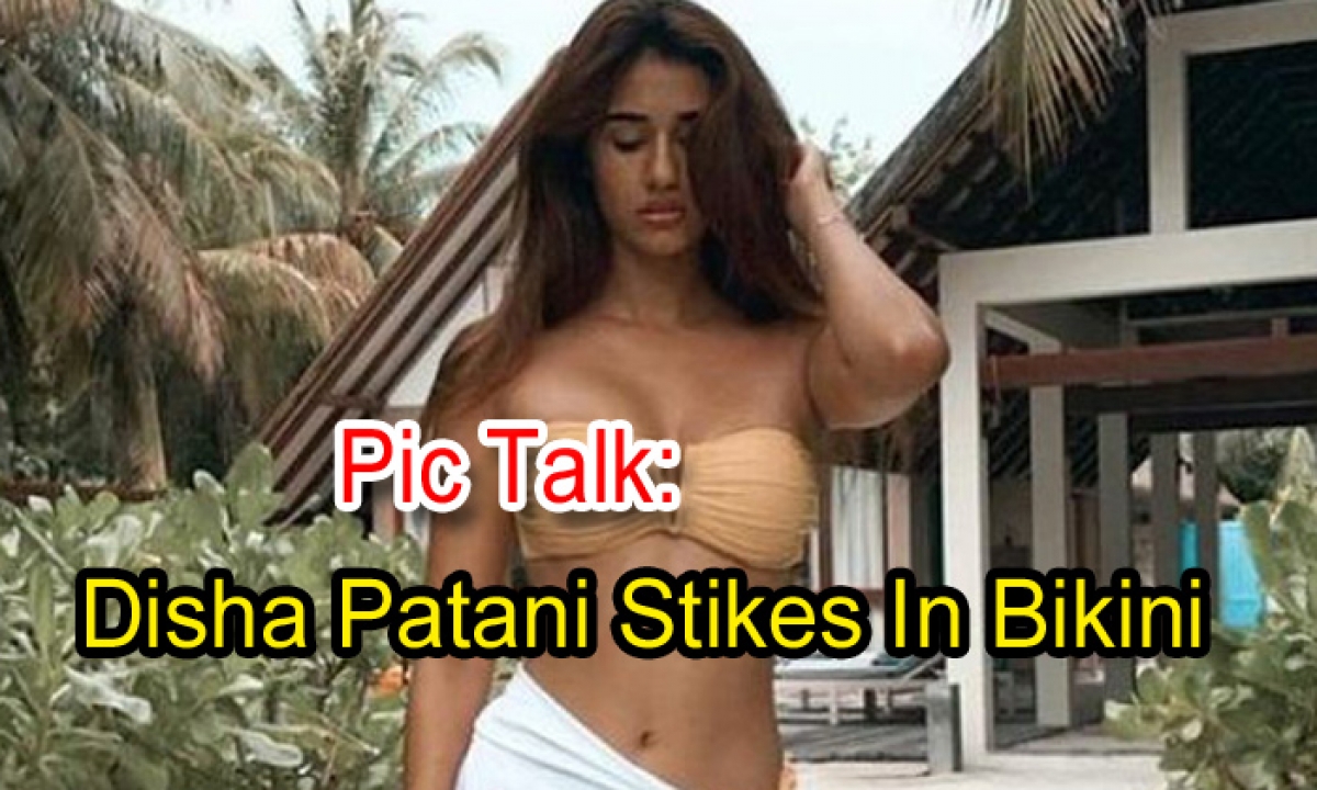  Pic Talk: Disha Patani Stikes In Bikini-TeluguStop.com