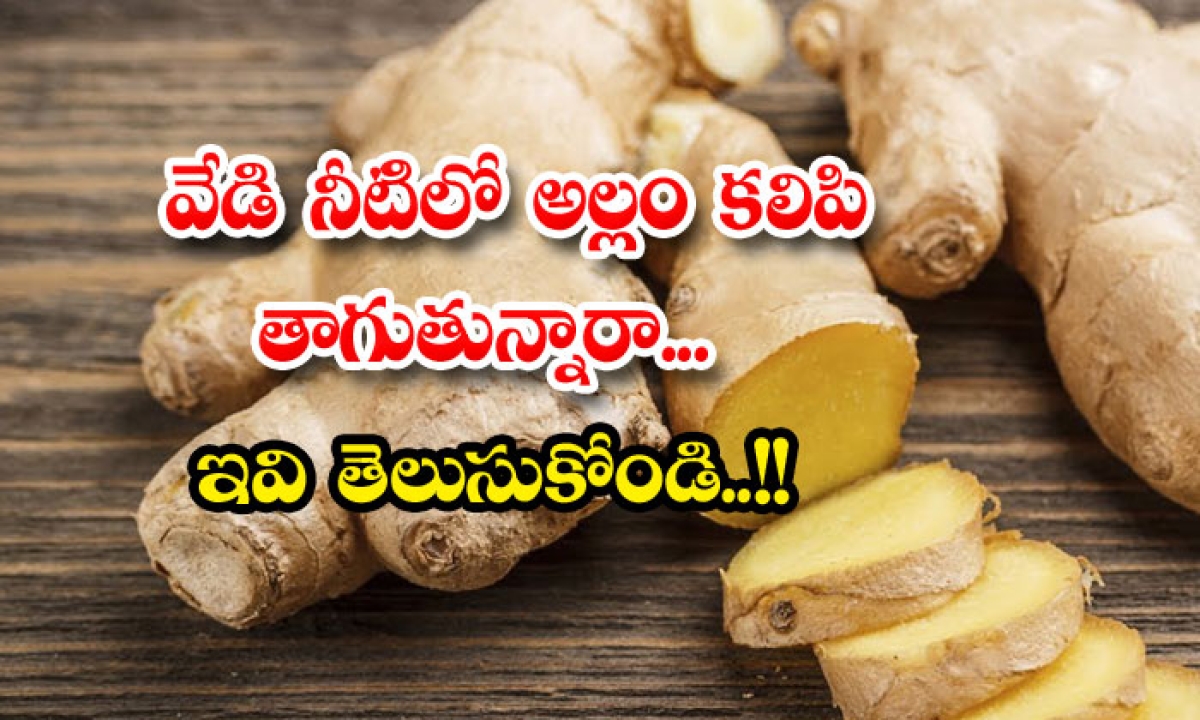  Advantages And Disadvantages Of Ginger..!!, Ginger, Ginger Water, Health Tips, Health, Latest News, Health Updates,-TeluguStop.com
