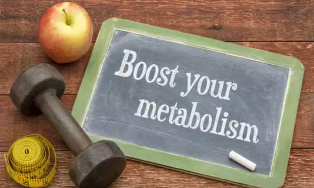  These Are The Types Of Foods That Can Destroy Body Metabolism Body Metabolism, Increase, Latest News, Health Benifits, Good Health, Fiber-TeluguStop.com