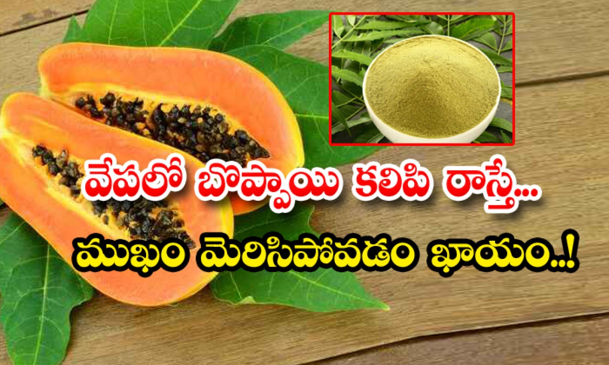  Benefits Of Neem And Papaya Face Pack! Benefits Of Neem, Neem And Papaya Face Pack, Neem Leaves, Benefits Of Papaya, Latest News, Beauty Tips, Skin Care, Beauty, Face Packs-TeluguStop.com