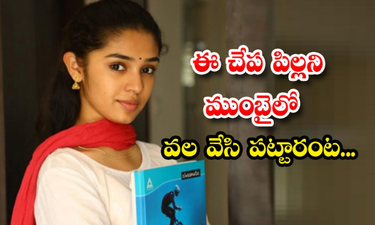  Director Buchi Babu Sana About Heroine Krithi Shetty Uppena Movie Offer, Uppena Movie Reviews, Director Buchi Babu Sana, Krithi Shetty, Krithi Shetty Uppena Movie Review, Tollywood,-TeluguStop.com