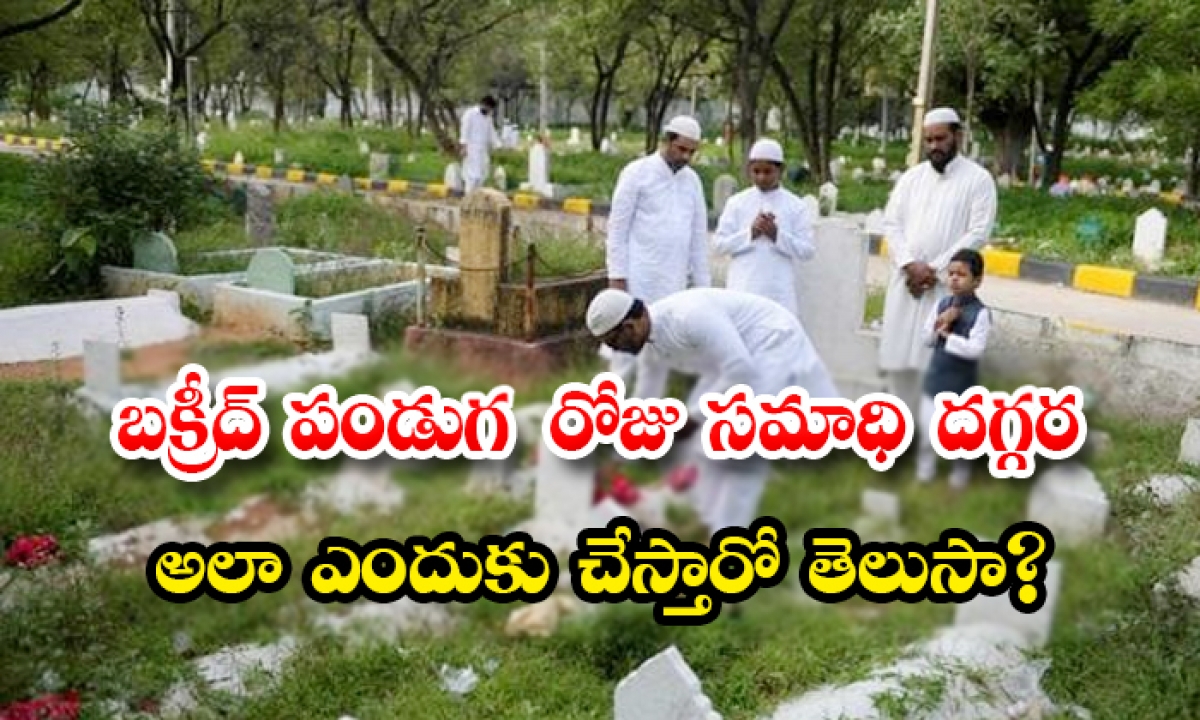  Bakrid Festival Reality And Speciality In Telugu Facts, Bakrid Festival Reality, Muslim,bakrid Specialty, Festival Of Sacrifice, Goat, World Wide, Masjid, Namaz, Helping Poor, Visit Burial Grounds, Special Prayers, About Bakrid Festival-TeluguStop.com