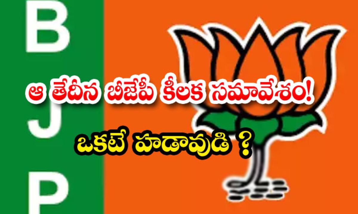  Bjp Key Meeting On That Date Bjp, Prime Minister, Narendra Modhi, Central Government, National , Bjp Office Berars Meeting, Bjp Key Desistion, Central Government Welfare Scheems,-TeluguStop.com