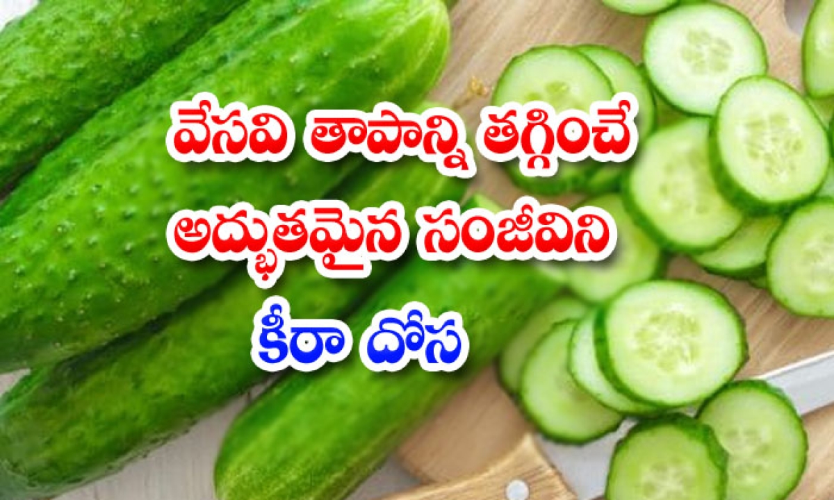  Why-to-eat-cucumber-in-summer-season, Cucumber , Good Health , Health Tips , Health Benifits , Weight Loss , Dehydrations,-TeluguStop.com