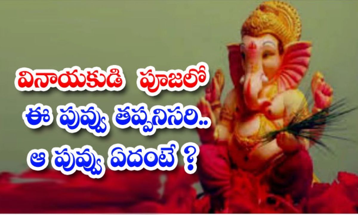  Do Youknow This Flower Are Must In The Worship Of Ganesha Ganesh, Worship, Flowers, Hindhu Belives ,marigold Flower , Flowers , Pooja-TeluguStop.com