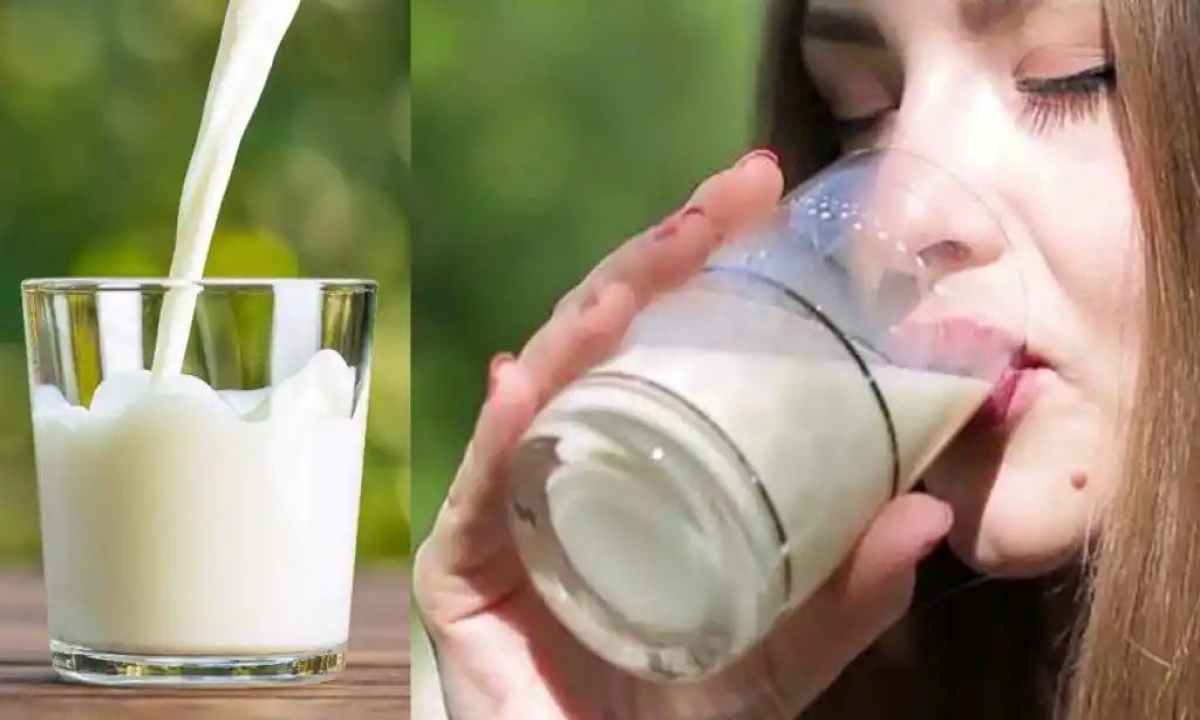  Can Diabetes Be Controlled By Consuming Milk Like This ,milk, Diabetes , Health Tips, Nutrients , Vitamins,international Diabetes Federation, Blood Pressure-TeluguStop.com