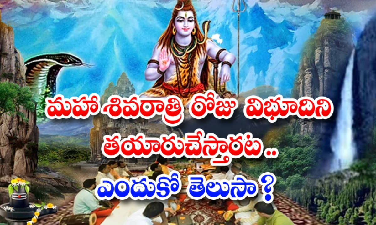  Maha Shivratri 2021 Significance Of Vibhuthi Maha Sivaratri, Vibhuthi, Lard Shiva, Pooja, Linga Stak ,shiva Panchakshari-TeluguStop.com