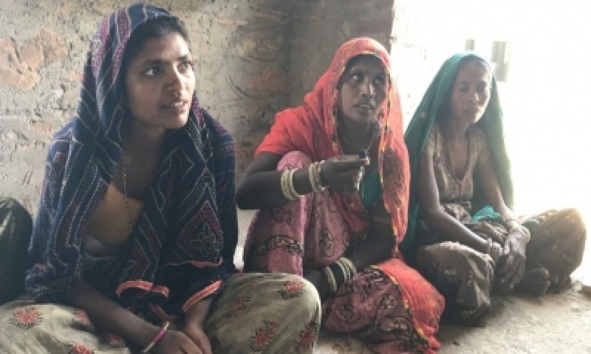  Women Of Rural Rajasthan Beat The Odds To Emerge Successful Farmers And Livestock Rearers-TeluguStop.com