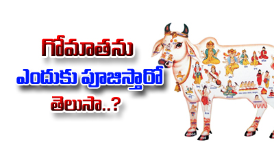  Why Do Hindus Worship The Cow-Why Do Hindus Worship The Cow-Devotional-Telugu Tollywood Photo Image-TeluguStop.com
