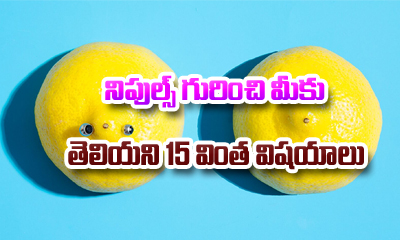  15 Interesting Facts About Nipples-Telugu Stop Exclusive Top Stories-Telugu Toll-TeluguStop.com