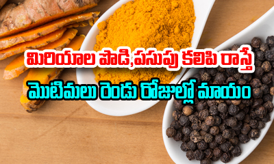  Amazing Health Benefits Of Black Pepper And Turmeric-TeluguStop.com
