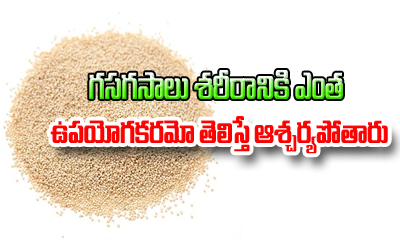  Amazing Benefits Of Poppy Seeds That Can Surprise You-Telugu Health Tips-Telugu Tollywood Photo Image-TeluguStop.com