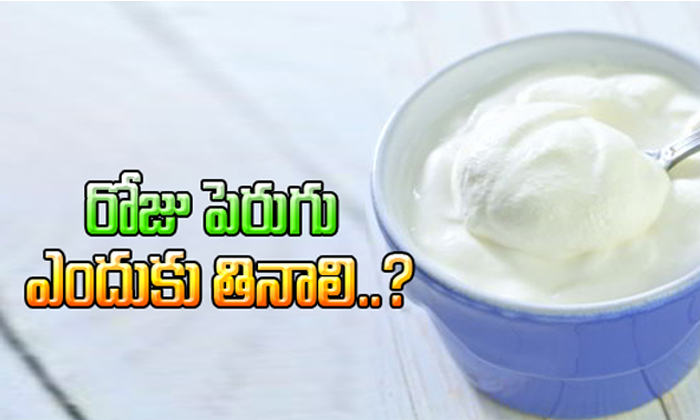  Know Why Curd Is Compulsory In Your Diet-TeluguStop.com