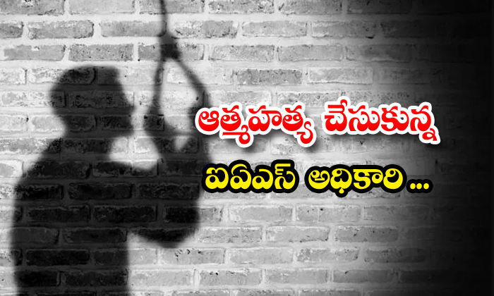 Telugu Ias, Karnataka, Vijay Shankar-Latest News - Telugu