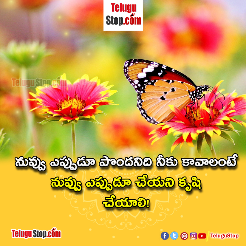 Telugu Quotes Telugu, Telugu Quotes-Telugu Visual Story Telling