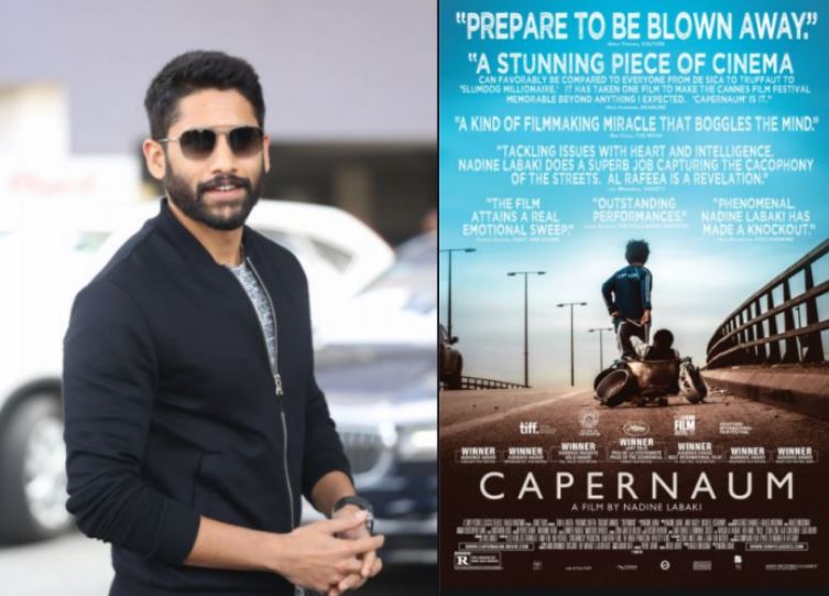 Naga Chaitanya Praises Capernaum Telugu Zainalrafeea Bongjoonho Chayakkineni Nadinelabaki 2018 Cannes Film Festival Akkineni Watches Lebanese Drama Capernaum Caper Telugustop