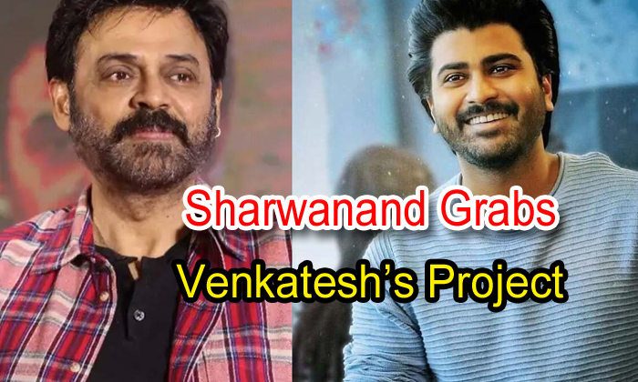  Sharwanand Grabs Venkatesh’s Project-TeluguStop.com
