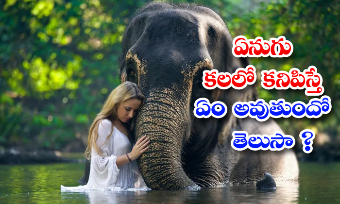  Elephant, Dreams, Good Symptoms, Auspicious,-TeluguStop.com