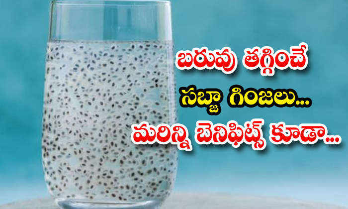  Basil Seeds Helps In Weight Loss! Basil Seeds, Weight Loss, Health Tips, Health, Latest News, Sabja Seed, Weight Loss Tips-TeluguStop.com