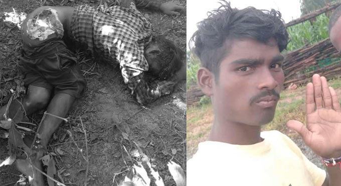  Tiger Kills A Youngster, Range Officer Orders For An Enquiry-TeluguStop.com
