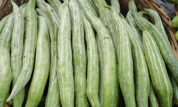 Telugu Benefits Of Snake Gourd, Good Health, Health, Health Tips, Latest News, Snake Gourd-Telugu Health - తెలుగు హెల్త్ టిప్స్ ,చిట్కాలు Telugu Benefits Of Snake Gourd, Good Health, Health, Health Tips, Latest News, Snake Gourd-Telugu Health - తెలుగు హెల్త్ టిప్స్ ,చిట్కాలు