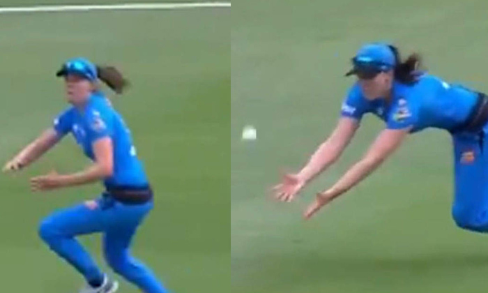  Viral Video: Wow .. What A Catch ..!-TeluguStop.com