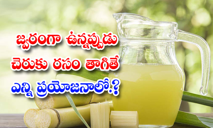  Benefits Of Sugarcane Juice During Fever! Benefits Of Sugarcane Juice, Fever, Su-TeluguStop.com