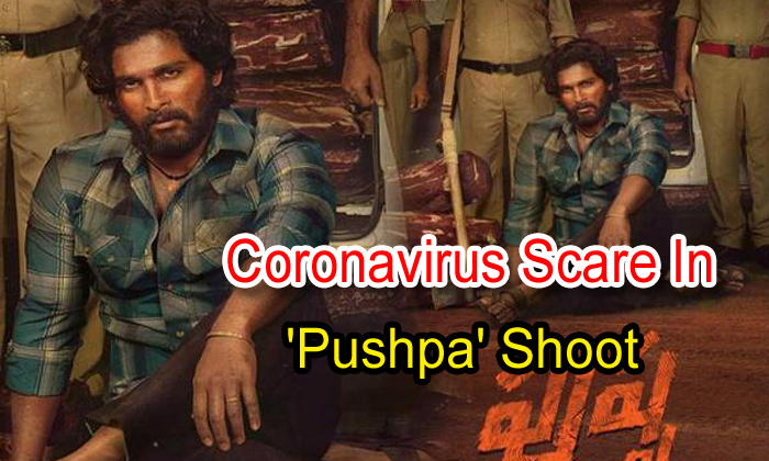  Coronavirus Scare In ‘pushpa’ Shoot-TeluguStop.com