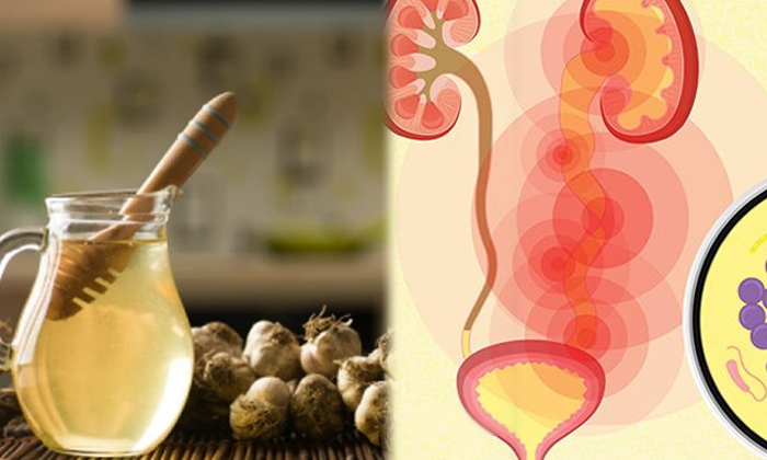 Telugu Good Food, Good Health, Health, Health Tips, Home Remedies, Kidney Health, Latest News, Urinary Infection-Telugu Health - తెలుగు హెల్త్ టిప్స్ ,చిట్కాలు Telugu Good Food, Good Health, Health, Health Tips, Home Remedies, Kidney Health, Latest News, Urinary Infection-Telugu Health - తెలుగు హెల్త్ టిప్స్ ,చిట్కాలు