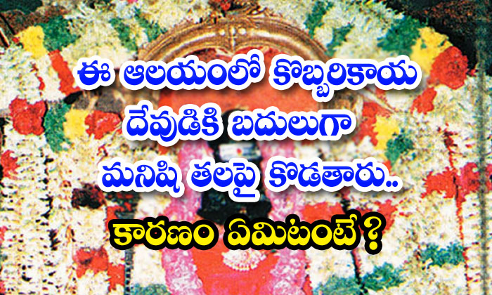  In This Temple A Man Is Beaten On The Head Instead Of A Coconut God What Is The-TeluguStop.com