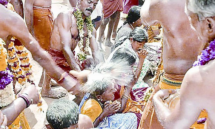 Telugu Coconut, Tamilanadu, Temple-Latest News - Telugu