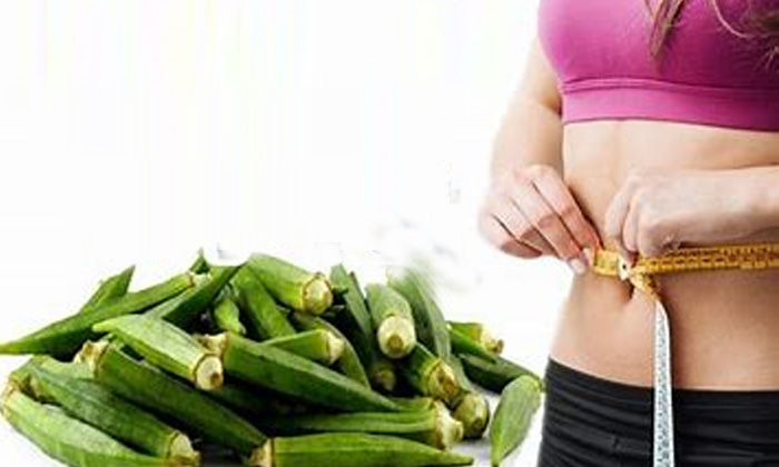 Telugu Benefits Of Ladies Finger, Good Health, Health, Health Tips, Ladies Finger, Ladies Finger For Health, Overweight, Reduce Overweight, Weight Loss Tips-Telugu Health - తెలుగు హెల్త్ టిప్స్ ,చిట్కాలు Telugu Benefits Of Ladies Finger, Good Health, Health, Health Tips, Ladies Finger, Ladies Finger For Health, Overweight, Reduce Overweight, Weight Loss Tips-Telugu Health - తెలుగు హెల్త్ టిప్స్ ,చిట్కాలు