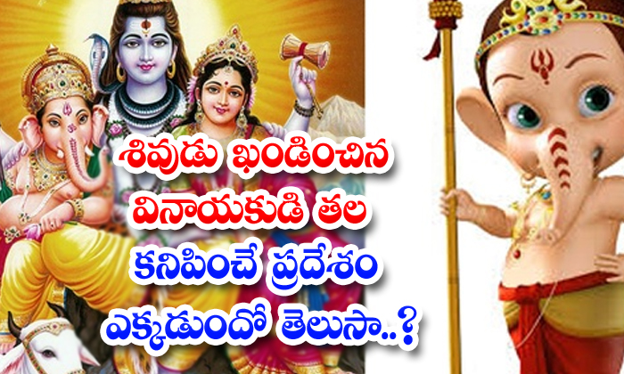  Do You Know Where The Head Of Lord Ganesha Who Was Condemned By Lord Hiva Is Foundlard Ganesh, Shiva, Condemns The Head, Goddess Parvati-TeluguStop.com