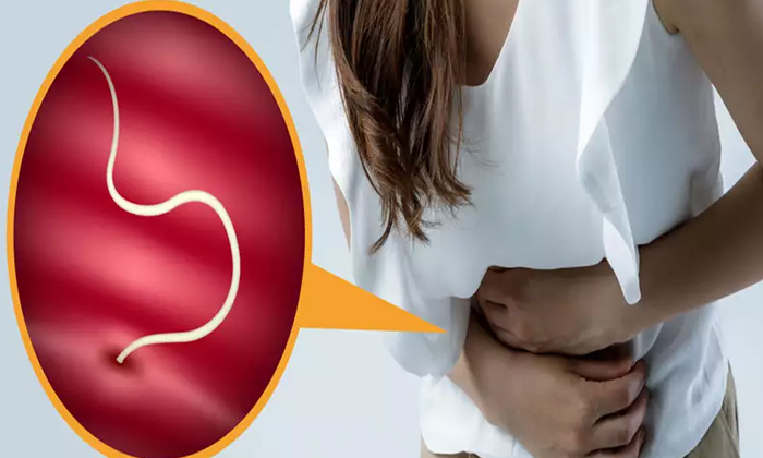 Telugu Good Health, Health, Health Tips, Home Remedies, Latest News, Reduce Worms In Stomach, Stomach, Worms, Worms In Stomach-Telugu Health - తెలుగు హెల్త్ టిప్స్ ,చిట్కాలు Telugu Good Health, Health, Health Tips, Home Remedies, Latest News, Reduce Worms In Stomach, Stomach, Worms, Worms In Stomach-Telugu Health - తెలుగు హెల్త్ టిప్స్ ,చిట్కాలు