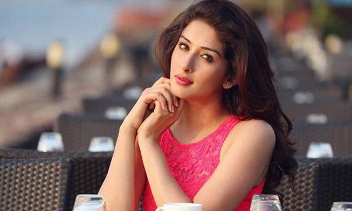 Telugu Sameeksha Marriage News, Sameeksha Real Life Movies, Shael Oswal, Telugu Veteran Heroine, Telugu Veteran Heroine Sameeksha Say Goodbye To The Films After Marriage, Tollywood-Movie Telugu Sameeksha Marriage News, Sameeksha Real Life Movies, Shael Oswal, Telugu Veteran Heroine, Telugu Veteran Heroine Sameeksha Say Goodbye To The Films After Marriage, Tollywood-Movie