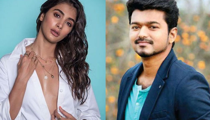  Pooja Hegde Roped In For #thalapathy65-TeluguStop.com