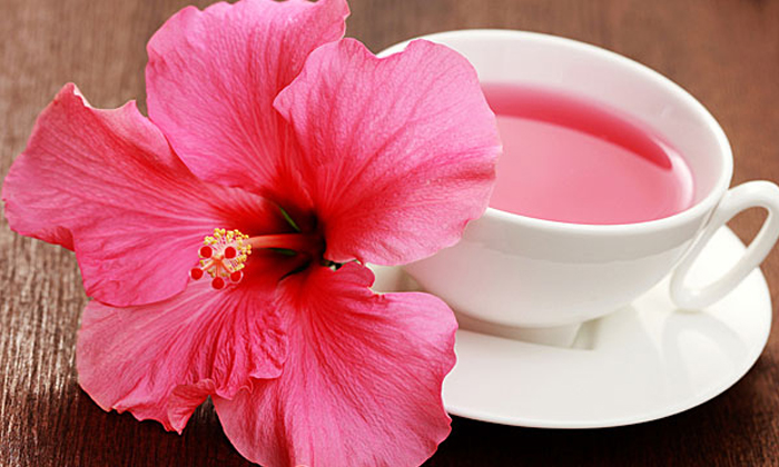 Telugu Anti Oxidants, Benefits Of Hibiscus Leaves, Body Fat, Body Weight, Good Health, Health, Health Tips, Hibiscus Leaves, Honey, Reduce Body Fat, Vitamin C, Weight Loss Tips-Telugu Health - తెలుగు హెల్త్ టిప్స్ ,చిట్కాలు Telugu Anti Oxidants, Benefits Of Hibiscus Leaves, Body Fat, Body Weight, Good Health, Health, Health Tips, Hibiscus Leaves, Honey, Reduce Body Fat, Vitamin C, Weight Loss Tips-Telugu Health - తెలుగు హెల్త్ టిప్స్ ,చిట్కాలు