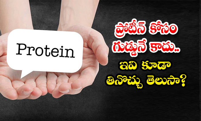  Protein Rich Foods Details Here! Protein Deficiency, Protein Rich Foods, Protein, Protein Foods, Latest News, Health Tips, Good Health, Health, Protein, Protein For Health-TeluguStop.com