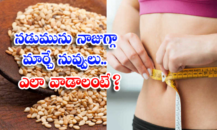  Sesame Seeds, Belly Fat, Latest News, Health Tips, Good Health, Health, Weight Loss Tips, Benefits Of Sesame Seeds,-TeluguStop.com
