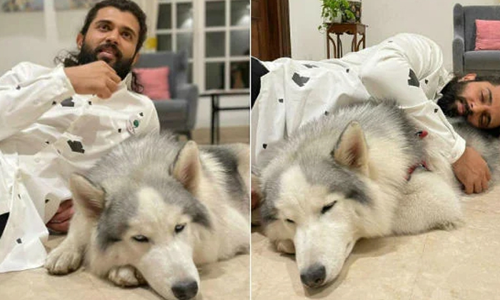 Telugu Mahesh Babu, Nagashourya, Niharika, Payal Rajputh, Pooja Hegde, Ram, Ram Charan, Samantha, Tollywood Stars And Their Pets, Vijay Devarakonda-Telugu Stop Exclusive Top Stories Telugu Mahesh Babu, Nagashourya, Niharika, Payal Rajputh, Pooja Hegde, Ram, Ram Charan, Samantha, Tollywood Stars And Their Pets, Vijay Devarakonda-Telugu Stop Exclusive Top Stories