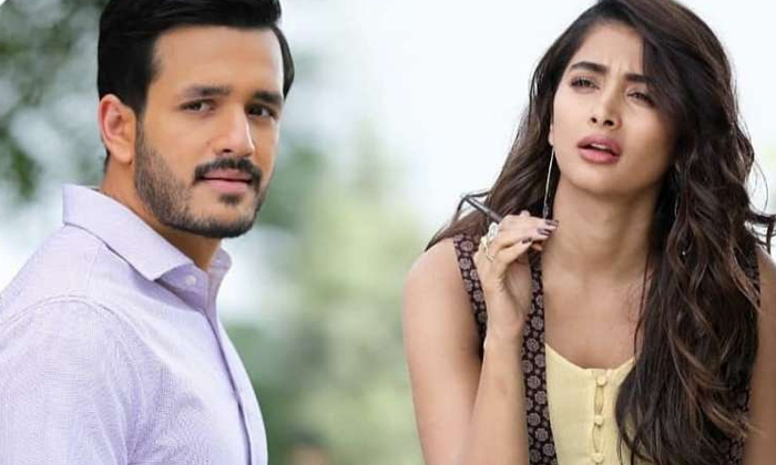 Telugu Agent Movie, Akhil Akkineni, Future Projects, Most Eligible Bachelor, Nagarjuna, Surender Reddy-Movie Telugu Agent Movie, Akhil Akkineni, Future Projects, Most Eligible Bachelor, Nagarjuna, Surender Reddy-Movie