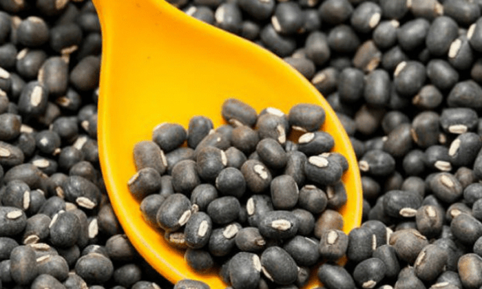 Telugu Benefits Of Black Gram, Black Gram, Black Gram For Pregnant, Good Health, Health, Health Tips, Latest News, Pregnant, Pregnant Health, Tips For Pregnant-Telugu Health - తెలుగు హెల్త్ టిప్స్ ,చిట్కాలు Telugu Benefits Of Black Gram, Black Gram, Black Gram For Pregnant, Good Health, Health, Health Tips, Latest News, Pregnant, Pregnant Health, Tips For Pregnant-Telugu Health - తెలుగు హెల్త్ టిప్స్ ,చిట్కాలు
