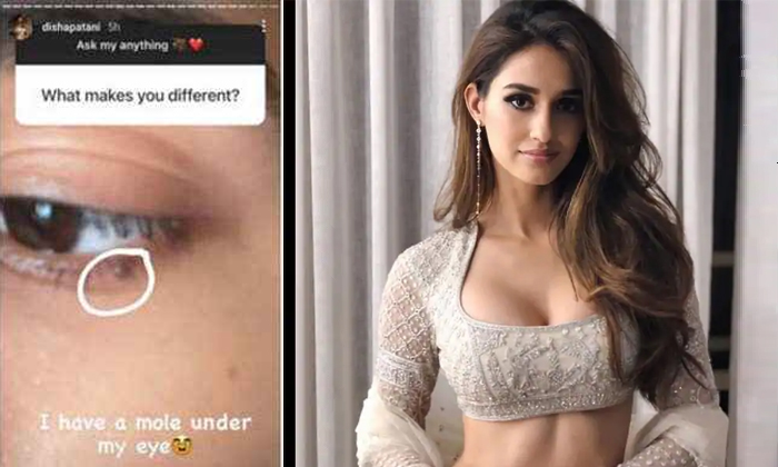 Telugu Bollywood, Disha Patani, Disha Patani Birth Mark, Disha Patani Fan, Disha Patani Viral Photo, Instagram, Shows Her Birth Mark, Social Media-Movie Telugu Bollywood, Disha Patani, Disha Patani Birth Mark, Disha Patani Fan, Disha Patani Viral Photo, Instagram, Shows Her Birth Mark, Social Media-Movie