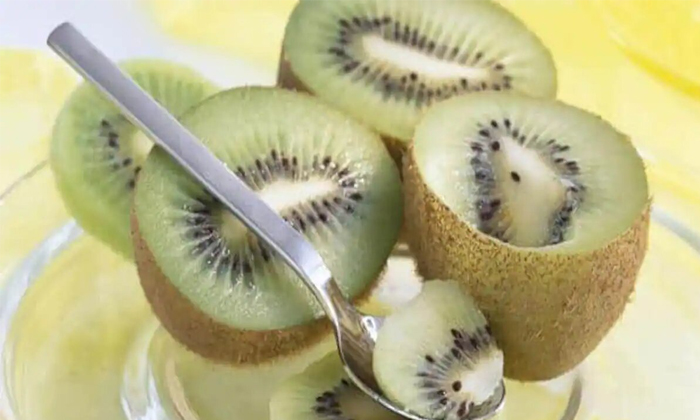 Telugu Asthma, Asthma Control, Benefits Of Kiwi Fruit, Good Health, Health Tips, Kiwi Fruit, Kiwi Fruit Benefits, Kiwi Fruit For Health, Kiwi Fruit Nutritional Fact, Latest News, Reduce Asthma, Tips For Asthma Patients-Telugu Health - తెలుగు హెల్త్ టిప్స్ ,చిట్కాలు Telugu Asthma, Asthma Control, Benefits Of Kiwi Fruit, Good Health, Health Tips, Kiwi Fruit, Kiwi Fruit Benefits, Kiwi Fruit For Health, Kiwi Fruit Nutritional Fact, Latest News, Reduce Asthma, Tips For Asthma Patients-Telugu Health - తెలుగు హెల్త్ టిప్స్ ,చిట్కాలు