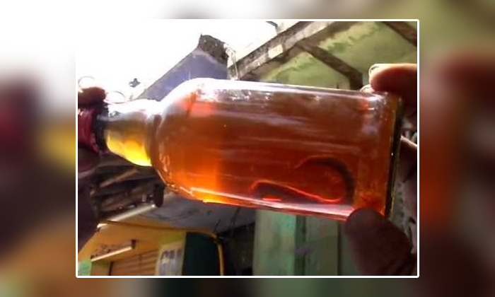 Telugu Government Wine Shop, Liquer Shop, Liquor Bottle, Snake, Snake In Wine Bottle, Social Media, Suresh, Tamilnadu, Viral Latest, Viral News, Wine Bottle-Latest News - Telugu Telugu Government Wine Shop, Liquer Shop, Liquor Bottle, Snake, Snake In Wine Bottle, Social Media, Suresh, Tamilnadu, Viral Latest, Viral News, Wine Bottle-Latest News - Telugu
