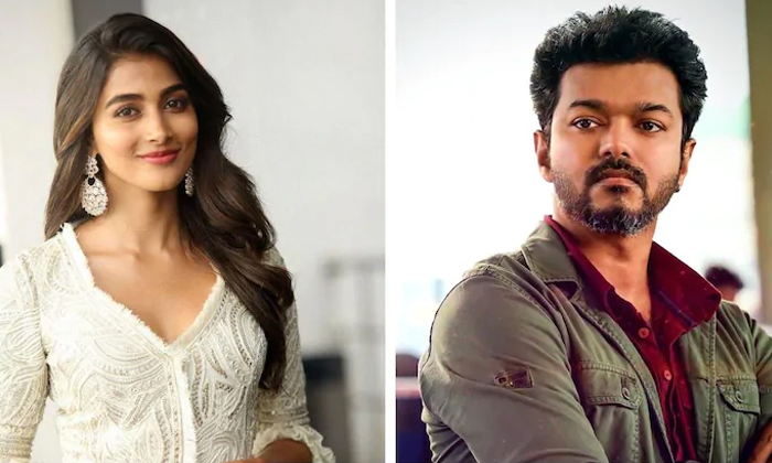 Telugu 65th Movie, Nelson Dilipkumar, Pongal Rase, Pooja Hegde, Tamil Star Hero, Vijay And Pooja Hegde, Vijay Thalapathy, Vijay Thalapathy 65 Release Date, Vijay Thalapathy 65th Movie Update, Vijay Thalapathy Sentiment-Movie Telugu 65th Movie, Nelson Dilipkumar, Pongal Rase, Pooja Hegde, Tamil Star Hero, Vijay And Pooja Hegde, Vijay Thalapathy, Vijay Thalapathy 65 Release Date, Vijay Thalapathy 65th Movie Update, Vijay Thalapathy Sentiment-Movie