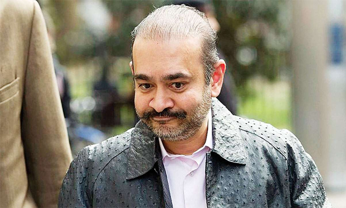Telugu Anil Ambani, Cafe Coffee Day, Fade Out Journey, Indian Billionaires, Kingfisher, Mohul Choksi, Neerav Modi, Reliance, Rich To Poor, Sahara Group, Satyam Computers, Satyam Ramalingaraju, Subrata Roy, Vg Siddhartha, Vijay Mallya-Telugu Stop Exclusive Top Stories Telugu Anil Ambani, Cafe Coffee Day, Fade Out Journey, Indian Billionaires, Kingfisher, Mohul Choksi, Neerav Modi, Reliance, Rich To Poor, Sahara Group, Satyam Computers, Satyam Ramalingaraju, Subrata Roy, Vg Siddhartha, Vijay Mallya-Telugu Stop Exclusive Top Stories