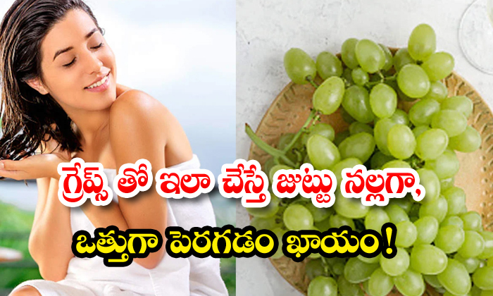  Benefits Of Grapes For Hair! Benefits Of Grapes, Hair, Hair Care, Grapes For Hair, Grapes, Long Hair, Black Hair, Beauty, Beauty Tips,-TeluguStop.com