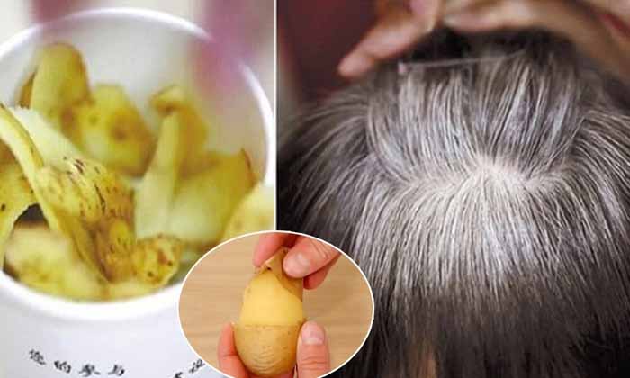 Telugu Beauty, Beauty Tips, Benefits Of Potato, Black Hair, Hair, Hair Care, Latest News, Potato, Reduce White Hair, White Hair-Telugu Health - తెలుగు హెల్త్ టిప్స్ ,చిట్కాలు Telugu Beauty, Beauty Tips, Benefits Of Potato, Black Hair, Hair, Hair Care, Latest News, Potato, Reduce White Hair, White Hair-Telugu Health - తెలుగు హెల్త్ టిప్స్ ,చిట్కాలు